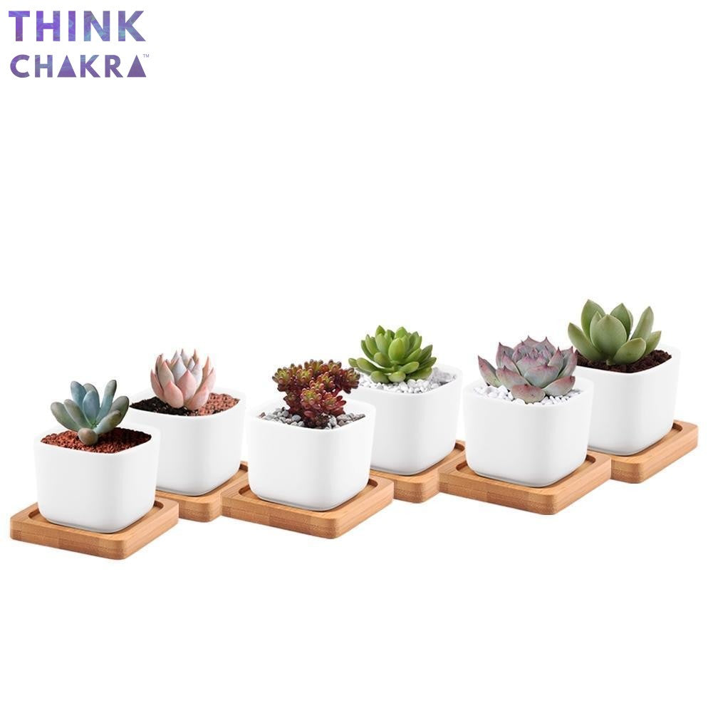 Mini Square Flower Pots With Bamboo Tray